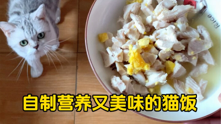 Homemade Nutritious and Delicious Cat Food