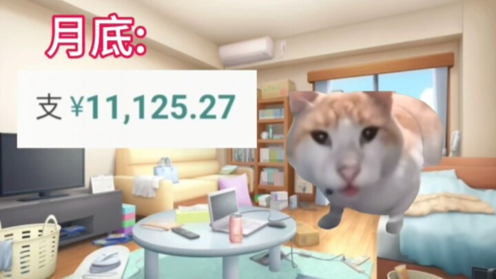 【มีมแมว】ถูกตัวละครกระดาษสองมิติหลอกไป 10,000 หยวนในหนึ่งเดือน