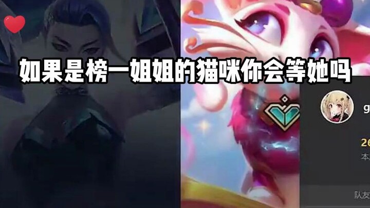 When Mega-Eevee is teased as the “No. 1 sister’s” cat