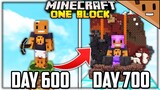 I Spent 700 Days in ONE BLOCK Minecraft… Here's What Happened