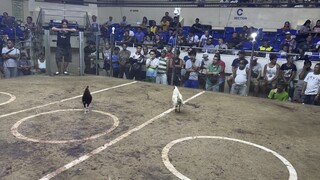 Swite 1st fight SJC