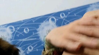 🌬
