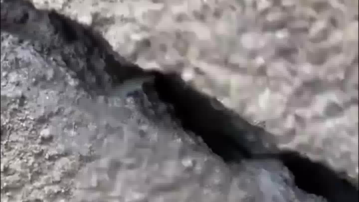 When you gaze into the abyss          The Abyss: What are you looking at?