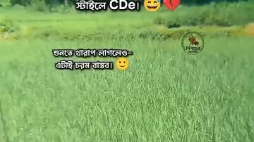 so founy