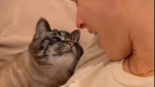 死鱼脸秒变小娇妻