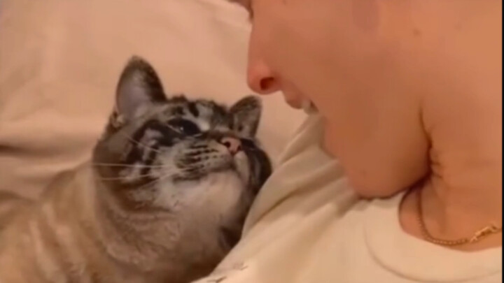 ใบหน้าปลาตายกลายเป็นภรรยาสาวน้อยในพริบตา