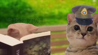 "Mức độ cao nhất của tình yêu thuần khiết" họ hy sinh vào đêm trước bình minh nhưng tình yêu của họ 