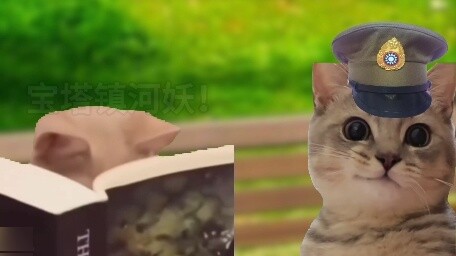 "Cinta murni tingkat tertinggi" mereka korbankan pada malam menjelang fajar, namun cinta mereka bert