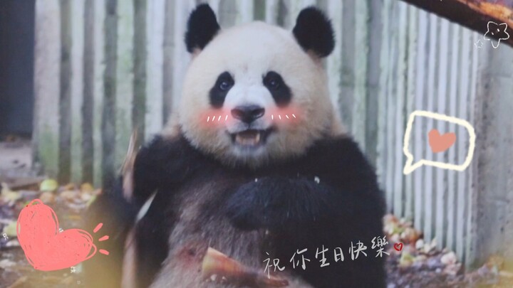 [Yuanyun] Ever since Runrun became a mom back at the base, her style has completely shifted to cute 