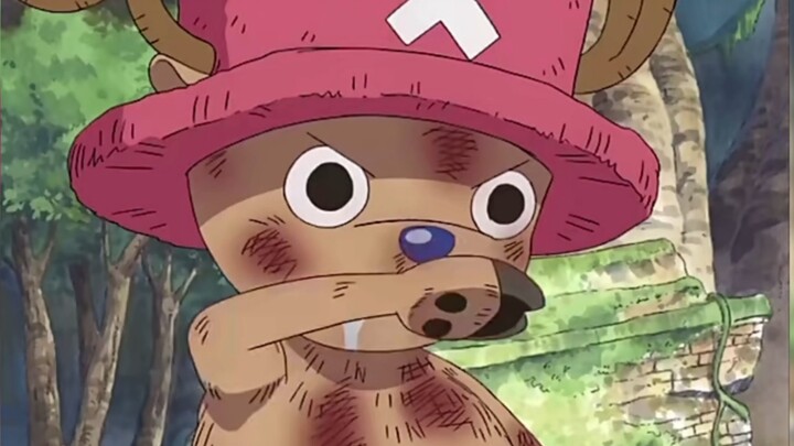 Chopper thật dễ thương với những suy nghĩ nhỏ nhặt của mình.