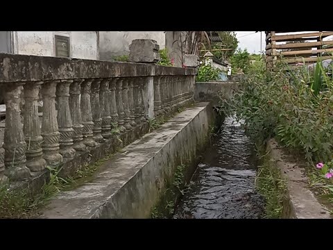 KEREN, DIDEPAN RUMAH BANYAK TUMBUHAN AQUASCQPE