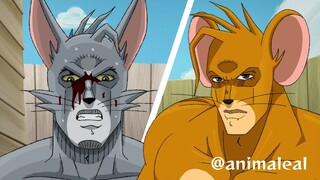 Tom VS Jerry (Paródia animada de JoJo's Bizarre Adventure)