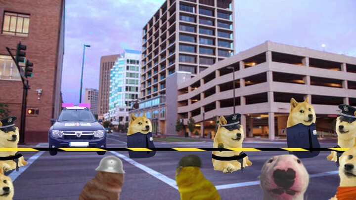 Surrender, Cheems. There're Cops Outside