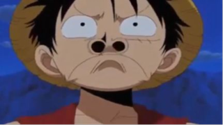 Luffy dùng mũi dò thức ăn