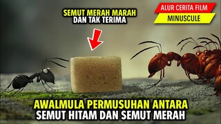 AWAL MULA PERMUSUHAN ANTARA SEMUT HITAM DAN SEMUT MERAH | ALUR CERITA FILM ANIMASI