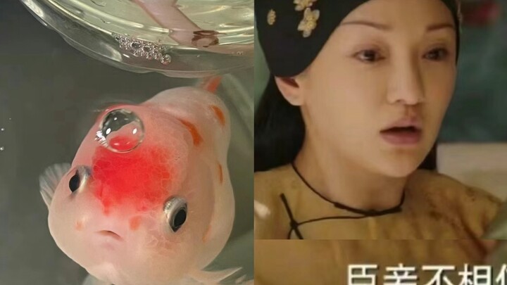 What a coincidence—so you’re a favored concubine too (Part 1)