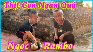 Koy Tatto và Bảo Bảo thịt tr.ộm Con Ngan Thóc của NgọcRambo đánh tiết canh