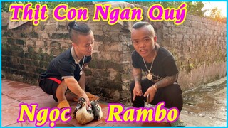 Koy Tatto và Bảo Bảo thịt tr.ộm Con Ngan Thóc của NgọcRambo đánh tiết canh