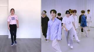SEVENTEEN - Falling Flower cover