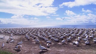 용산구출장마사지(다방)상담톡mop58(⊆(횟수무제한)⊇)용산구섹파/용산구출장안마