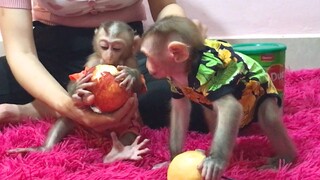 Eat and fun, Mino and coconut monkey