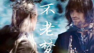 【魔戒AL|不老梦】于万人中万幸得以相逢