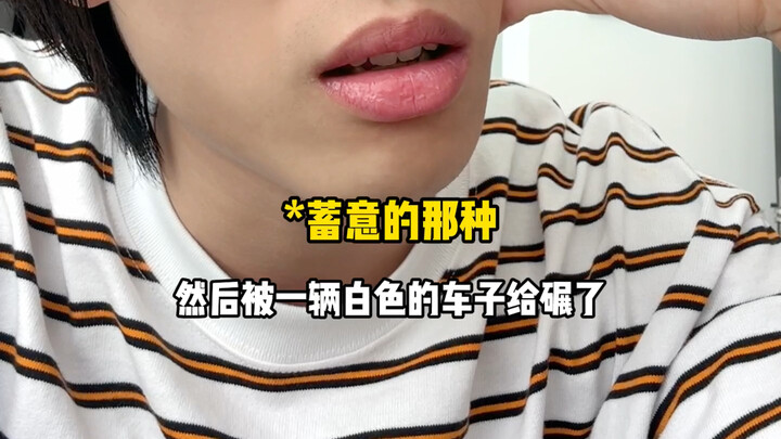 Hãy đối xử tử tế với mỗi sinh mệnh 🙏