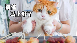 Cat: "Don't rush, it will be ready soon."