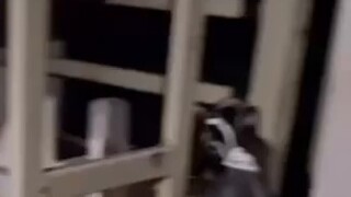 There are always some magical switches in the dormitory