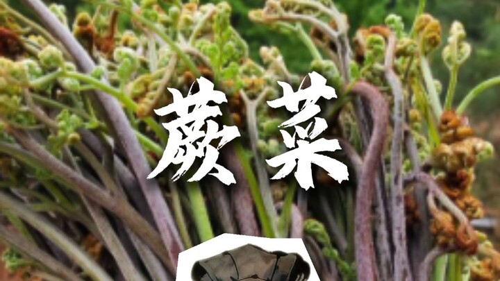 กินเฟิ่งไฉยังไงดี?