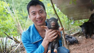 Huanong Brothers: The little fat puppy, who was born more than 10 days ago, has opened his eyes, and