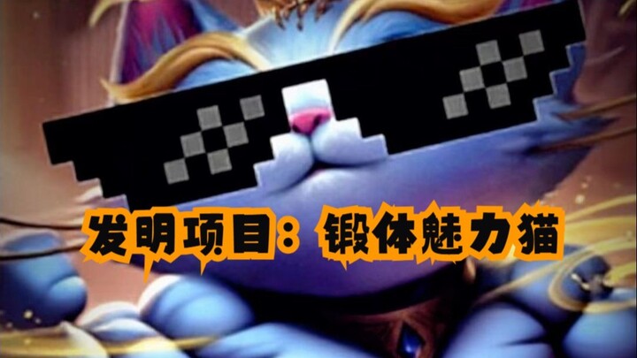 โครงการสิ่งประดิษฐ์: แมวมนต์เสน่ห์ผู้หล่อหลอมร่างกาย เรียนรู้เดินได้ก็กินไก่ได้ ใช้ได้เฉพาะเมื่อเฮกซ