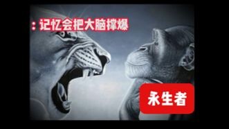 [Meme] What “Bro” Thinks a Immortal Is vs. What an Immortal Actually Is