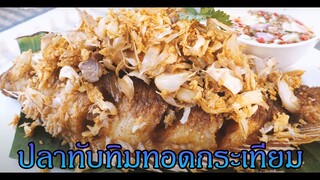เชฟก้องทรงเอ SS.2 - "ปลาทับทิมทอดกระเทียม"
