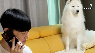 Pretending to make a phone call and saying some words dogs don't like to hear...