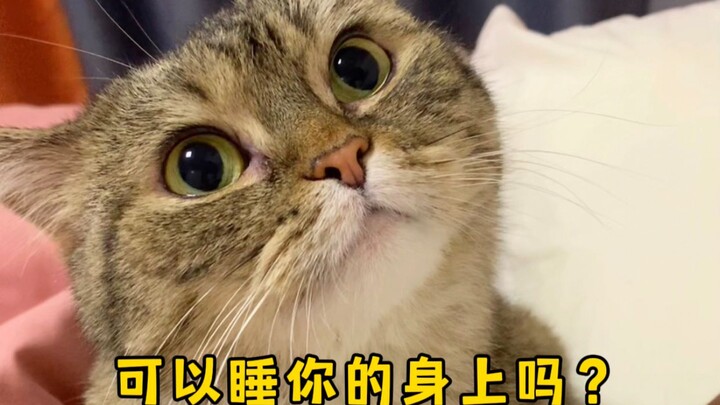 กีวีแสนใส่ใจ