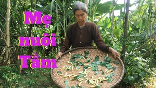 Khoai sắn là món ngon mẹ làm dành cho các con cháu - Cơm Mẹ Nấu(Sweet potatoes and cassava)