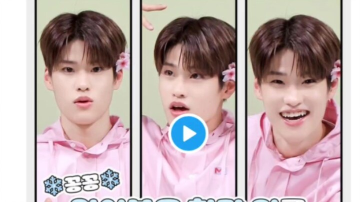 Lucu! SOHEE yang imut dengan bunga kecil, seekor kucing kecil berjalan di Sungai Han yang membeku, s