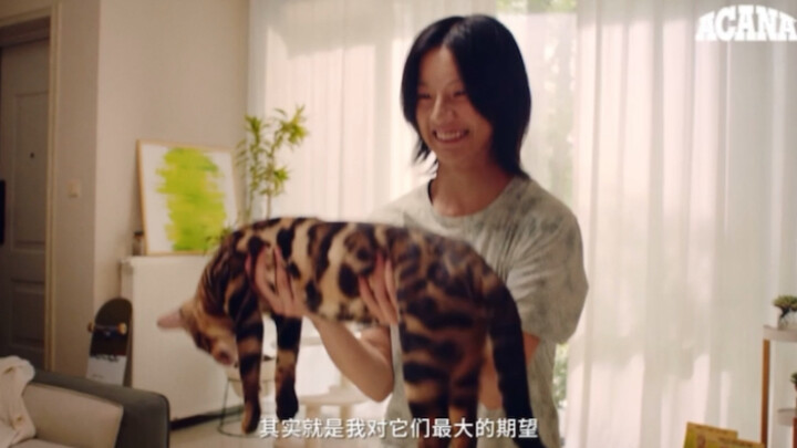 Aicona: Every bite is pure love. Aicona Ranch Feast Cat Food—75% high-quality animal ingredients, so