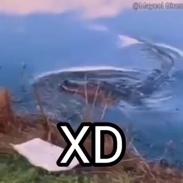 when u know u fckked up