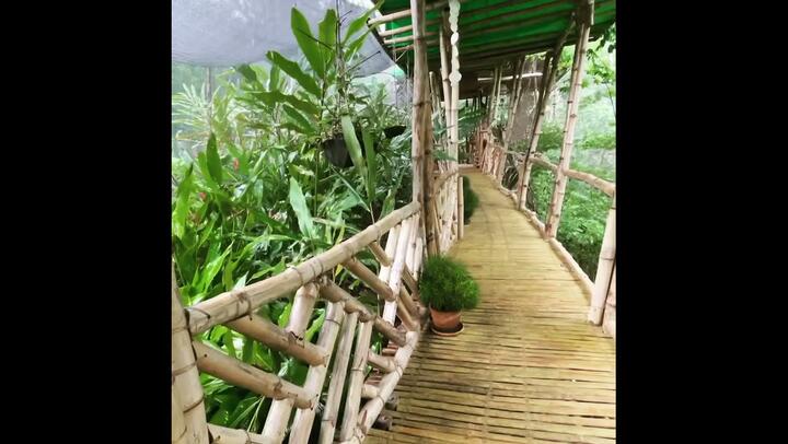 Tropical rain shower from our jungle walk.  So refreshing   #shorts