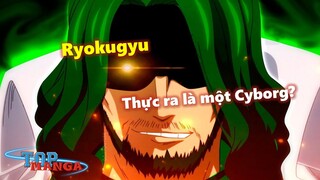Ryokugyu là Cyborg? Đô đốc Bò Lục sở hữu Zoan thần thoại Huyền Vũ?