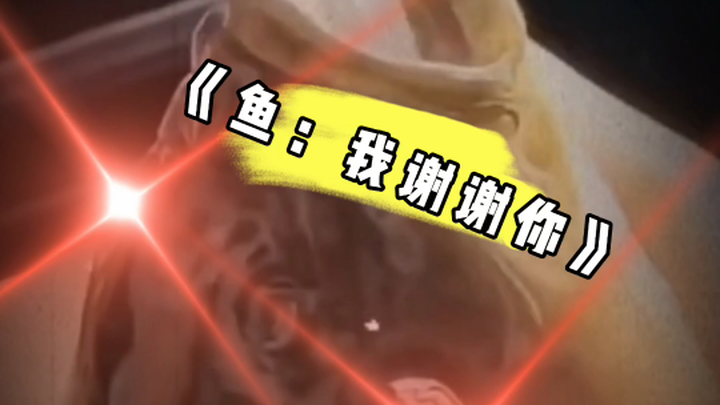 《Cá: Tôi cảm ơn bạn》