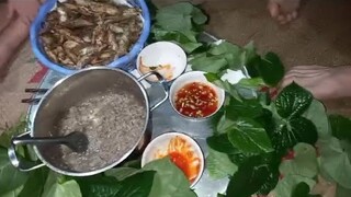 Đi đánh cá sông và cách chế biến gỏi cá chín đơn giản - Cực ngon | Việc Vặt Nhà Quê