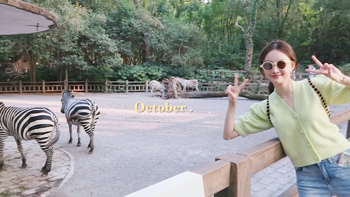 [Fang Chala] A Little Slice of Life Amid October’s Busyness