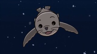 【有趣的小动物】加拉帕戈斯海狮🏝️🦁🦭