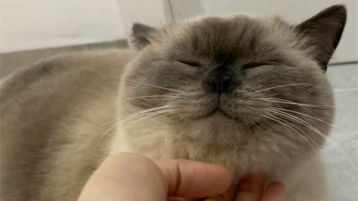 Báo cáo! Bé Yến đã khỏe rồi!