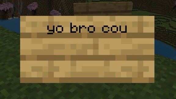 Minecraft players be like