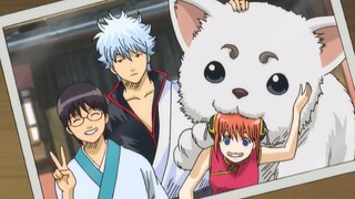 Ucapan selamat tahun baru Imlek Gintama terlengkap! Gintama mengucapkan selamat tahun baru kepada se