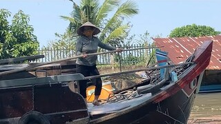 Chị Gái Xinh Đẹp Lái Ghe Lúa 50 Tấn